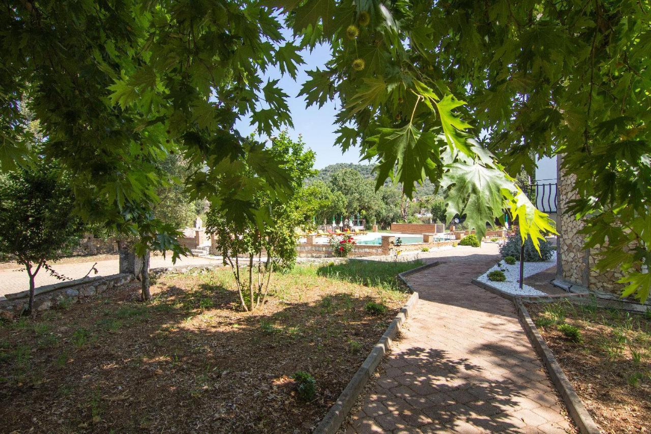 Yesilkaya Hotel Kayakoy Extérieur photo